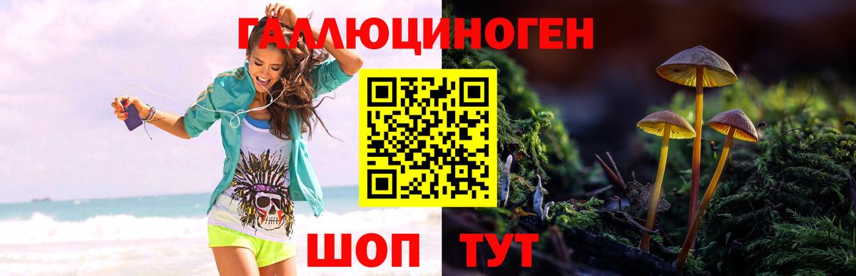 Галлюциногенные грибы Psilocybe  Вход с VPN  Галлюциногенные грибы Psilocybe  Туапсе 